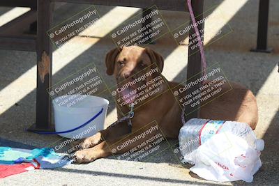 media/May-13-2023-Speed Ventures (Sat) [[03fd9661ba]]/Around the Pits/